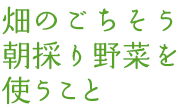 畑体験、朝採り野菜を使うこと