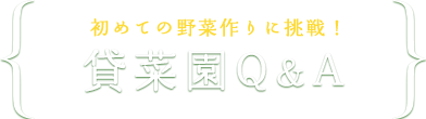初めての野菜作りに挑戦！貸菜園Ｑ＆Ａ