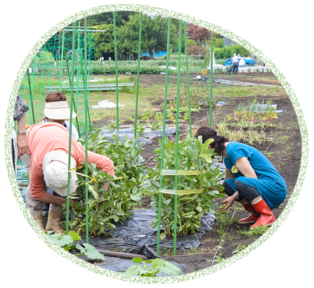 farm_image