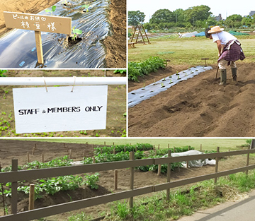 rentalfarm_image