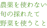 畑体験、農薬不使用野菜を使うこと